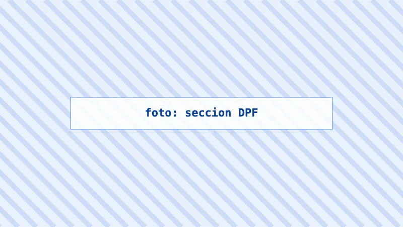Sección de un filtro de partículas DPF mostrando el monolito cerámico interior